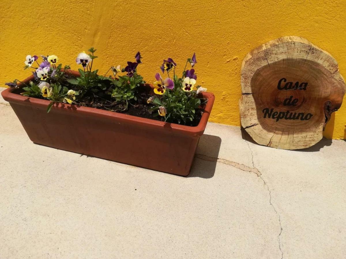 Casa Neptuno Villa Rabo de Peixe Dış mekan fotoğraf